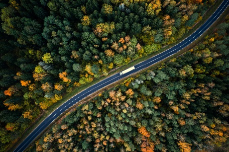 cenital shot of truck driving over road in the forest